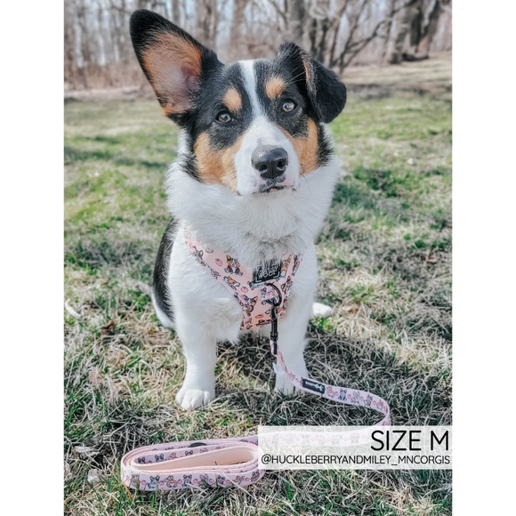 Sassy Woof Corgilicious Small Dog Harness - Picture 14 of 16
